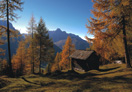 Autumn Sesto